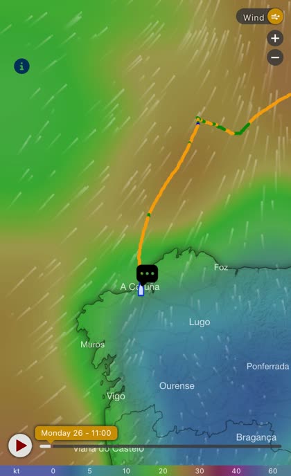 Live tracking preview